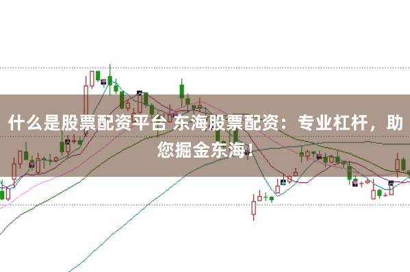 什么是股票配资平台 东海股票配资:专业杠杆,助您掘金东海!
