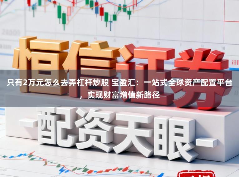 只有2万元怎么去弄杠杆炒股 宝盈汇：一站式全球资产配置平台，实现财富增值新路径
