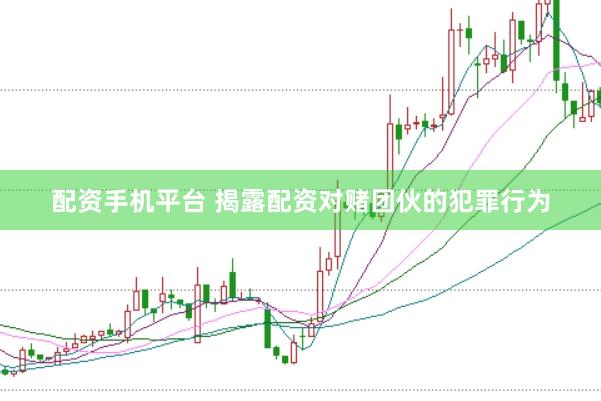配资手机平台 揭露配资对赌团伙的犯罪行为